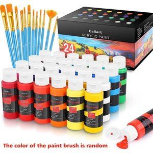 Acrylic Paint Set With 12 Brushes, 24 Colors (59ml, 2oz) Art Craft Paints Gifts
